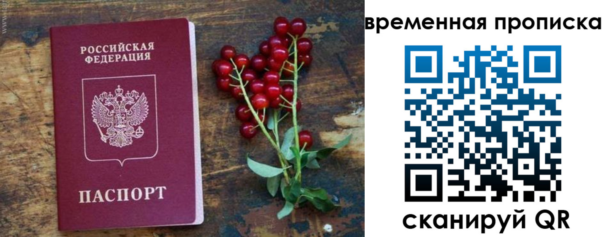 временная регистрация гарантия в Самарской области